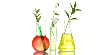 Produce Biofuels & Chemicals from Non-edible Biomass and Organic Waste